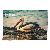 Adelaide-Pelikan