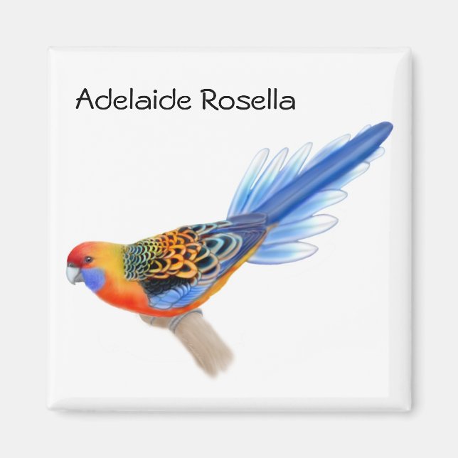 Adelaide Rosella Parrot Magnet (Vorne)
