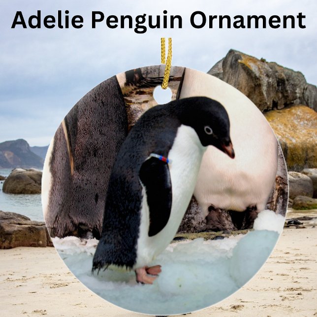 Adelie Penguin Keramik Ornament (Von Creator hochgeladen)