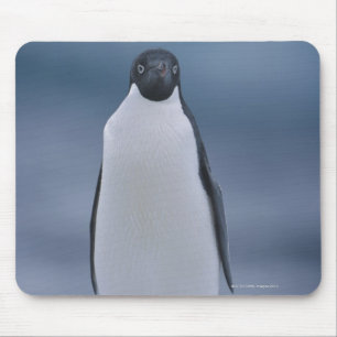 Adelie Penguin on Ice Mousepad