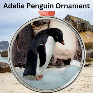 Adelie Penguin Preimium Ornament Aus Metall