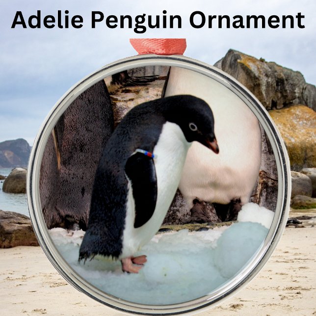Adelie Penguin Premier Ornement (Créateur téléchargé)