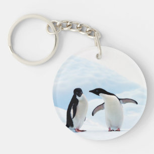 Adelie Penguins