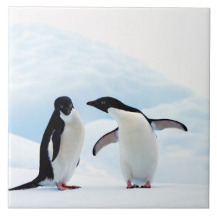 Adelie Penguins Fliese