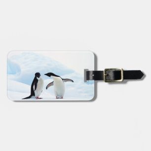 Adelie Penguins Gepäckanhänger