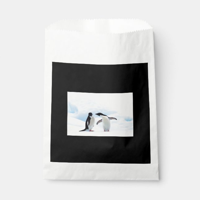 Adelie Penguins Geschenktütchen (Vorderseite)