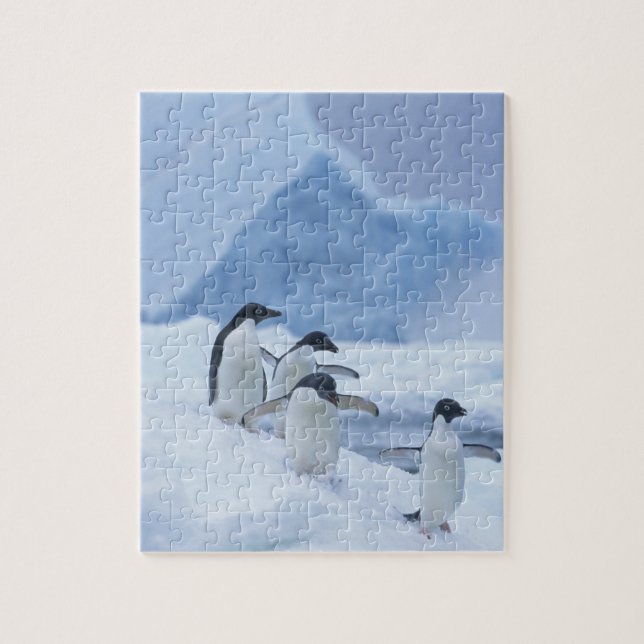 Adelie Penguins (Pygoscelis adeliae) auf Eis, (Vertikal)