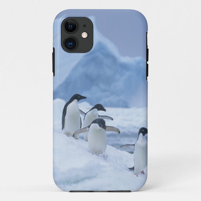 Adelie Penguins (Pygoscelis adeliae) auf Eis, Case-Mate iPhone Hülle (Rückseite)