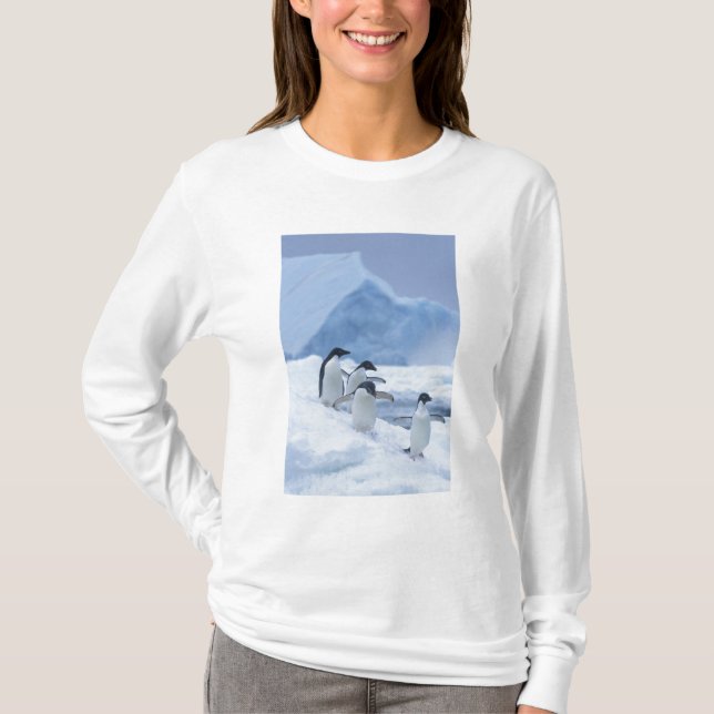 Adelie Penguins (Pygoscelis adeliae) auf Eis, T-Shirt (Vorderseite)