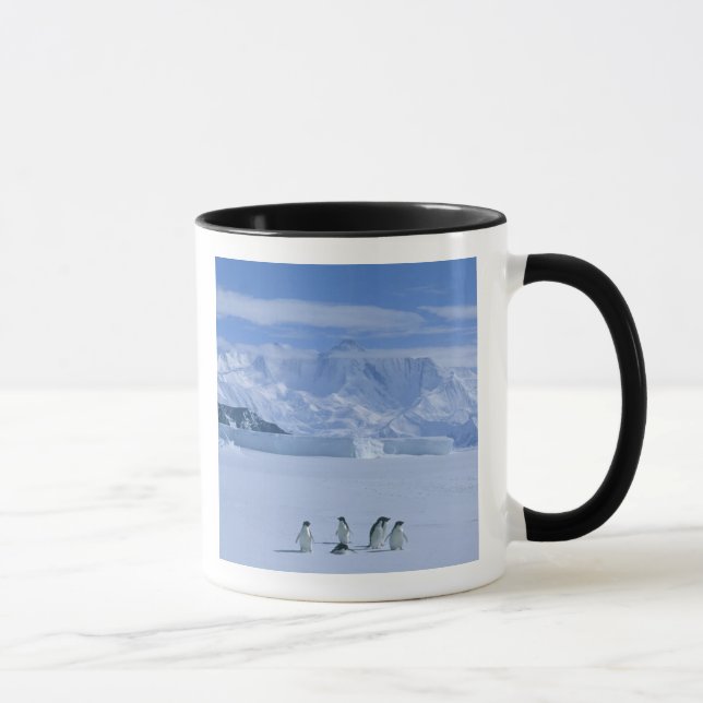 Adelie Penguins, Pygoscelis adeliae), Tasse (Rechts)