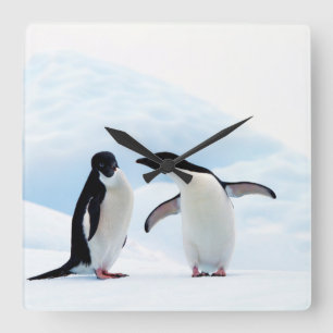 Adelie Penguins Quadratische Wanduhr