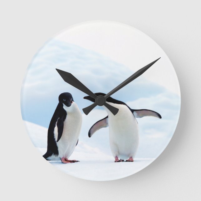 Adelie Penguins Runde Wanduhr (Vorderseite)