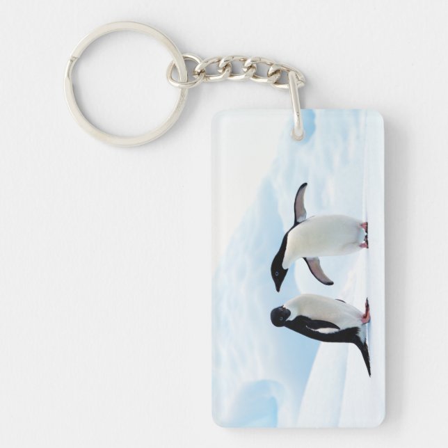 Adelie Penguins Schlüsselanhänger (Vorderseite)