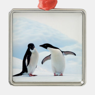 Adelie Penguins Silbernes Ornament