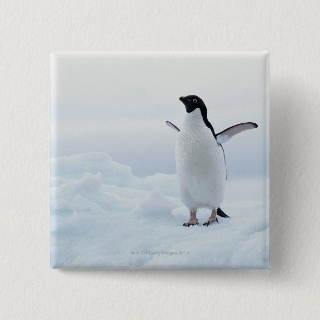 Adelie Pinguin, Antarktis Button (Vorderseite)