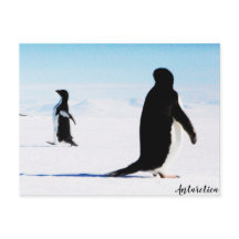 Adélie Pinguin Dancer und Friend