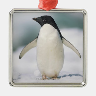 Adelie-Pinguin, Nahaufnahme Ornament Aus Metall