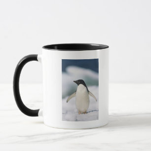 Adelie-Pinguin, Nahaufnahme Tasse