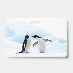 Adelie-Pinguine Ausweis