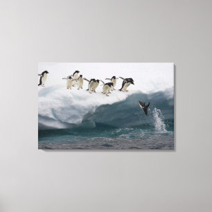 Adelie-Pinguine, die in Meer Paulette tauchen Leinwanddruck