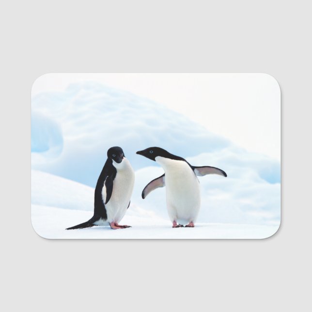 Adelie Pinguine Namensschild (Vorderseite)