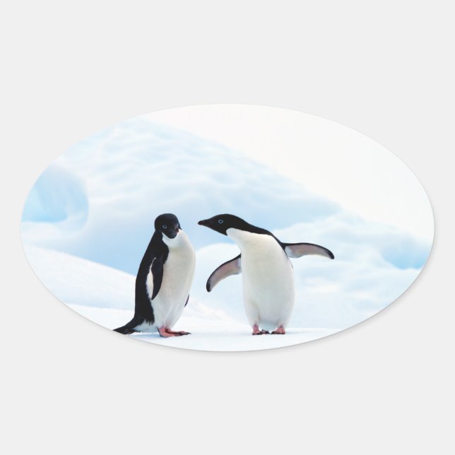 Adelie Pinguine Ovaler Aufkleber (Vorderseite)