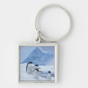 Adelie-Pinguine (Pygoscelis adeliae) auf Eis, Schlüsselanhänger