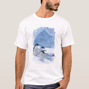 Adelie-Pinguine (Pygoscelis adeliae) auf Eis, T-Shirt