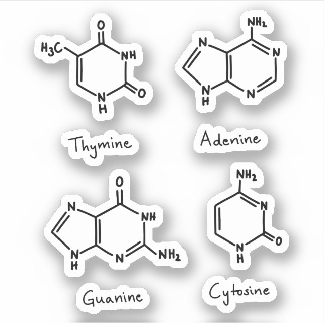 Adenin, Guanin, Zytosin, Thyminmoleküle Aufkleber (Vorderseite)
