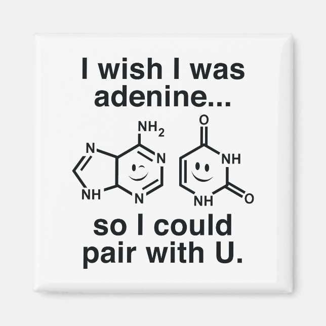 Adenin Magnet (Vorne)
