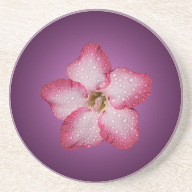 Adenium Pink Blume Flora Gradient Violett Sandstein Untersetzer (Vorne)