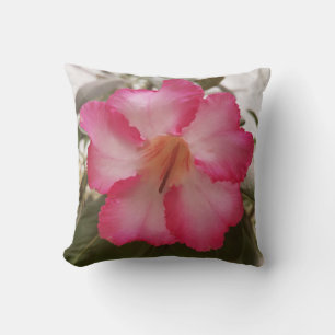 Adenium rosa weiße Blume Blütengraden Kissen