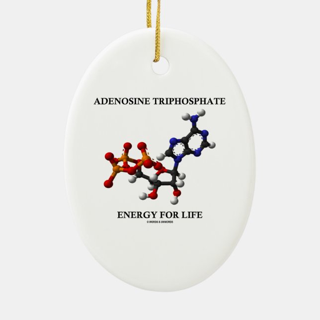 Adenosin-Triphosphat- (ATP)Energie für das Leben Keramikornament (Hinten)