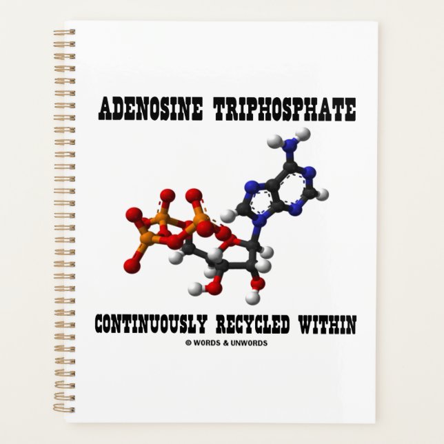 Adenosintriphosphat kontinuierlich Gerecycelt ATP Planer (Vorderseite)