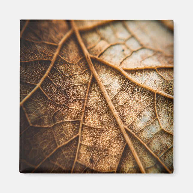 Adern des Herbstes Magnet (Vorne)