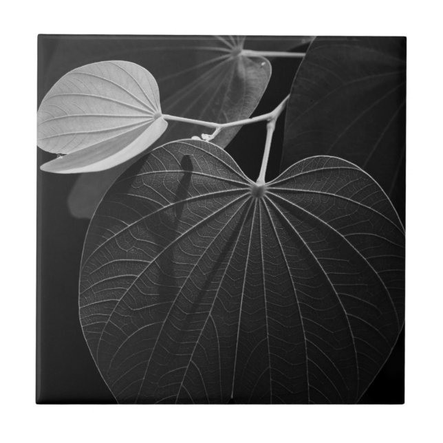 Adern eines Blattes Fliese (Vorderseite)