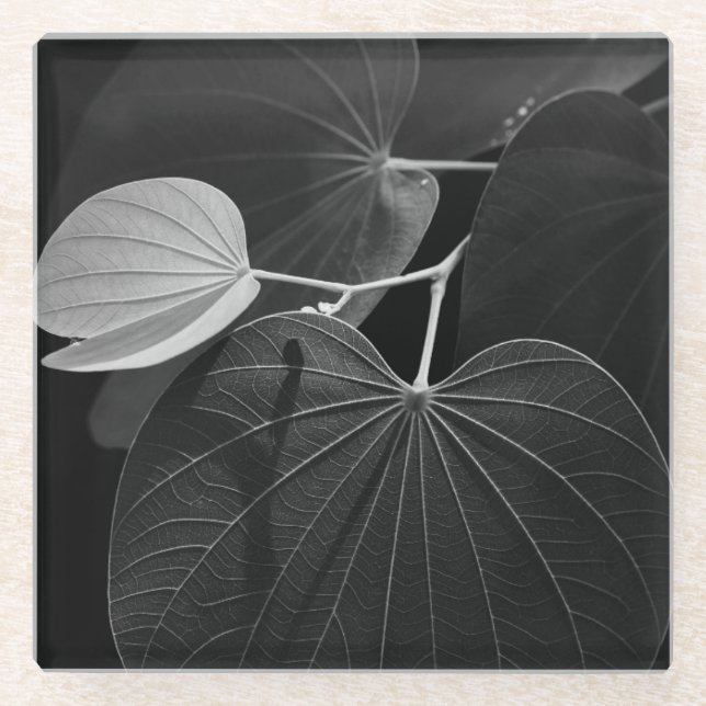 Adern eines Blattes Glasuntersetzer (Vorderseite)