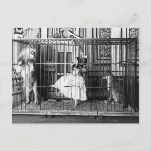 Adgie und ihre dressierten Löwen 1897 Postkarte