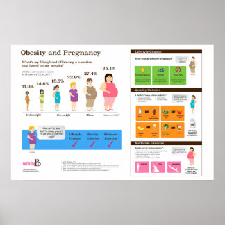 Adipositas und Schwangerschaft 36" x 24" Infografi Poster