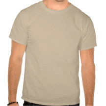 Adirondack High Peaks T - Shirt (Braunes Logo)