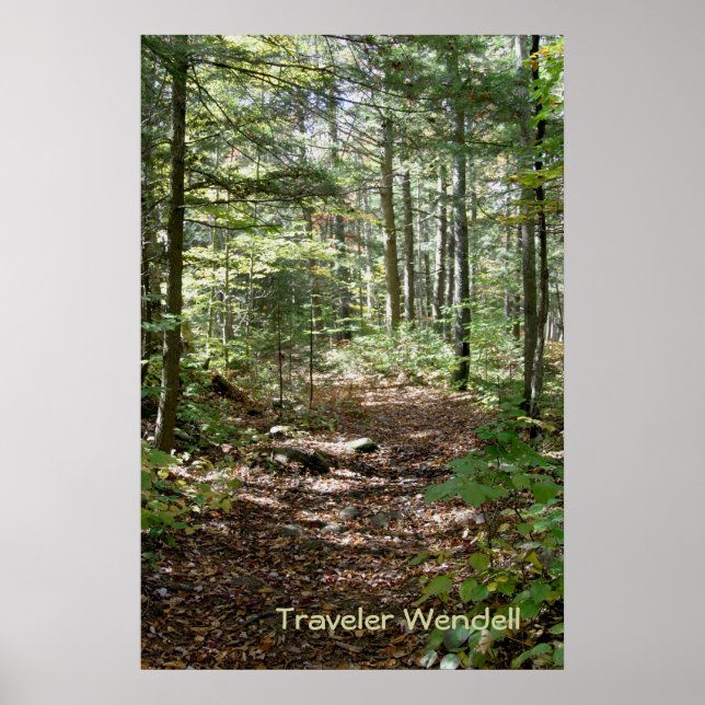 Adirondack-Pfad Poster (Vorne)