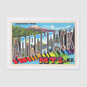 Adirondacks New York Vintag Large Letter Postcard Seidenpapier
