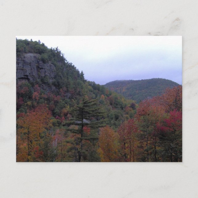 Adirondacks Postkarte (Vorderseite)