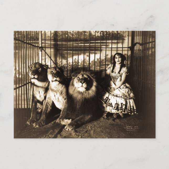 Adjie und die Löwen 1899 Vintager Zirkus Postkarte (Vorderseite)
