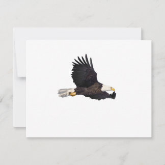 Adler