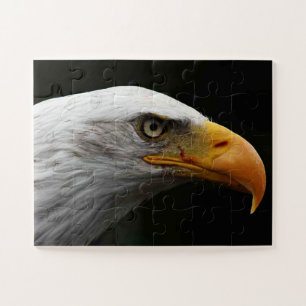 Adler 11 x 14 30 pc jpm