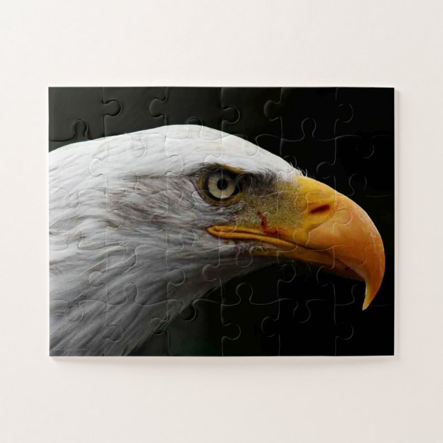 Adler 11 x 14 30 pc jpm (Horizontal)