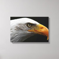 Adler 16,50x11 (41,25x27,5cm) waccna