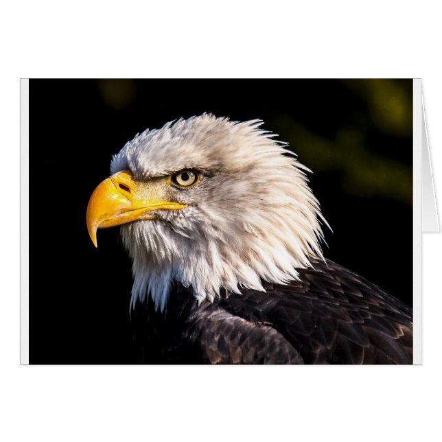 Adler 2 (Vorderseite (Horizontal))