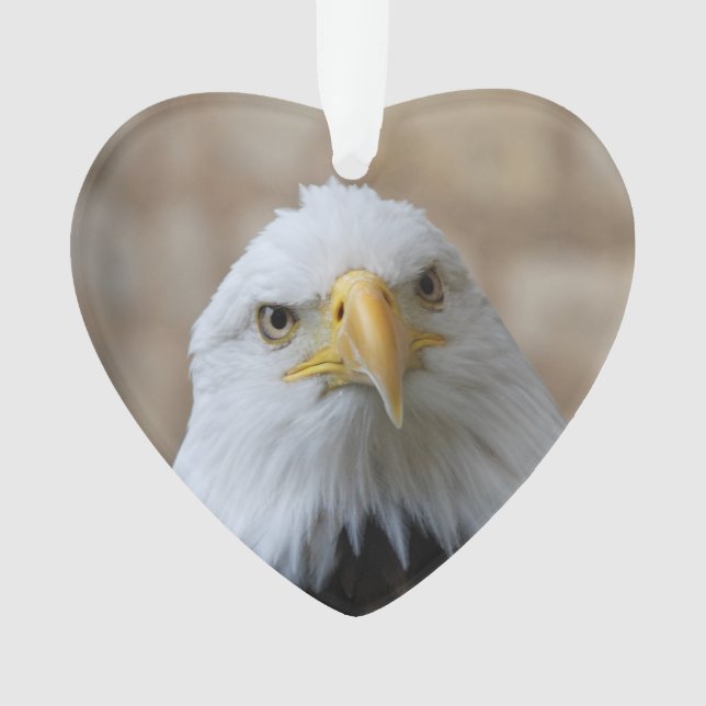 Adler_2015_0201 Ornament (Vorderseite)